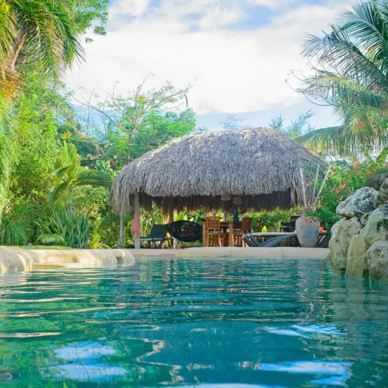 Villa Zomerland - Zwembad - Terras