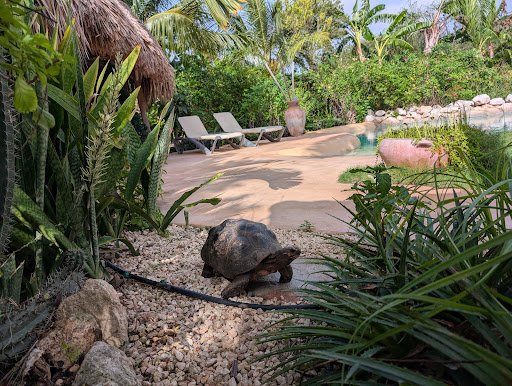 Foto van klantenbeoordeling