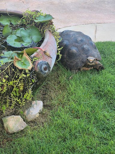 Foto van klantenbeoordeling